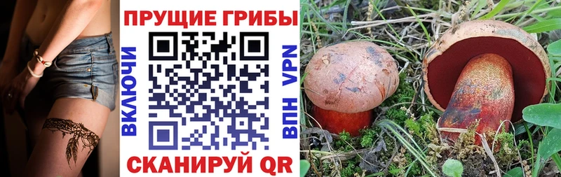 Псилоцибиновые грибы Magic Shrooms  Людиново 