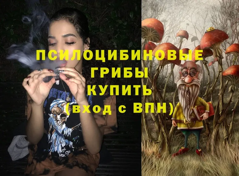 мега зеркало  Людиново  Псилоцибиновые грибы Psilocybe  наркота 