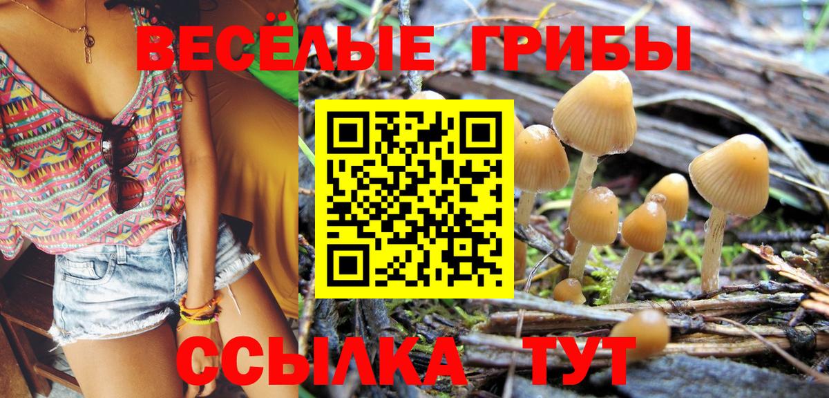купить  цена  Вход с VPN  Людиново  Псилоцибиновые грибы Magic Shrooms 